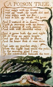 経験の歌からの毒の木 作： William Blake
